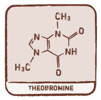 theobromine